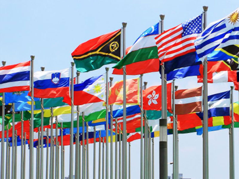 Diplomatic & Consular Services Image